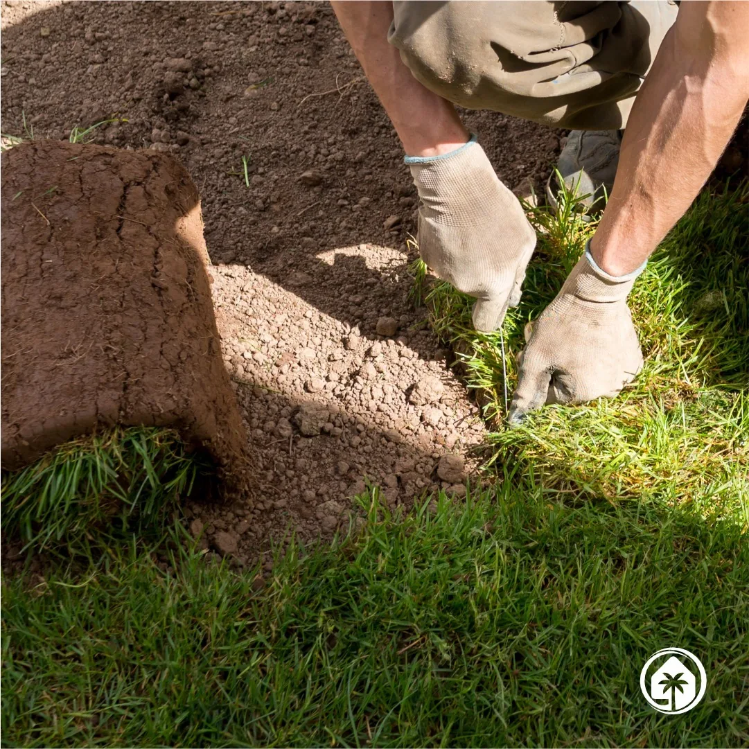 St. Augustine vs. Bahia: Choosing the Right Sod for Your Orlando Lawn
