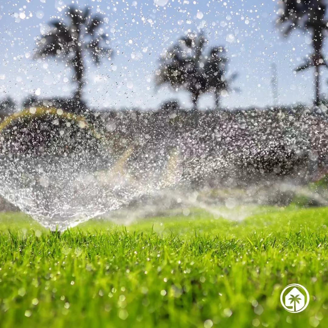 How to Prepare Your Orlando Garden for Summer